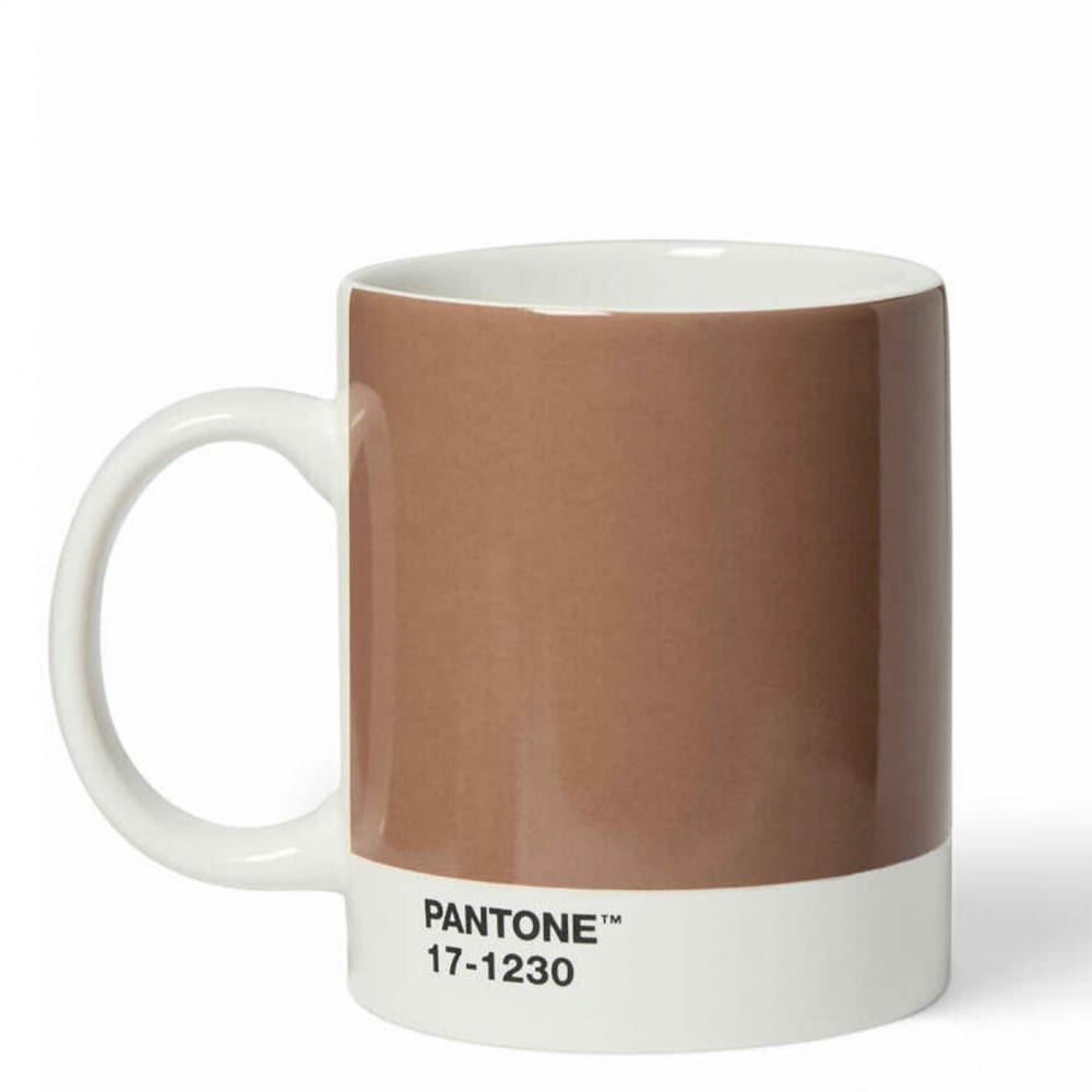 Mug en porcelaine mocha 17-1230