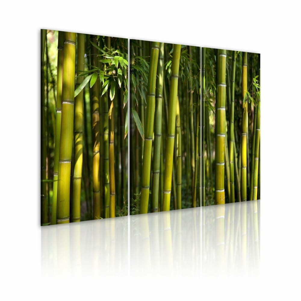 Tableau bambou et vert