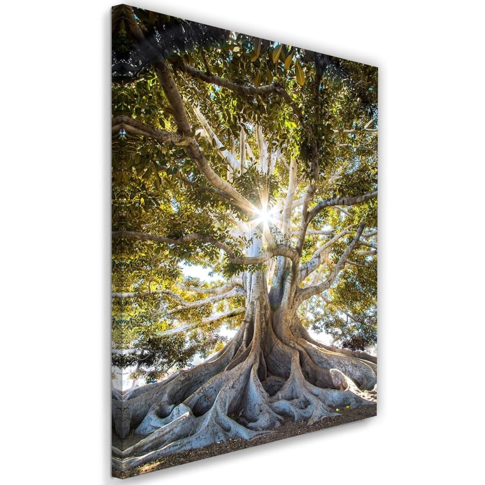 Tableau grand arbre exotique 80 x 120 cm