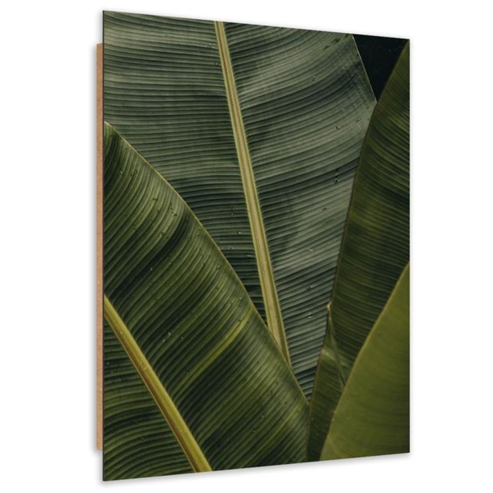 Tableau bois banane plante exotique 80 x 120 cm