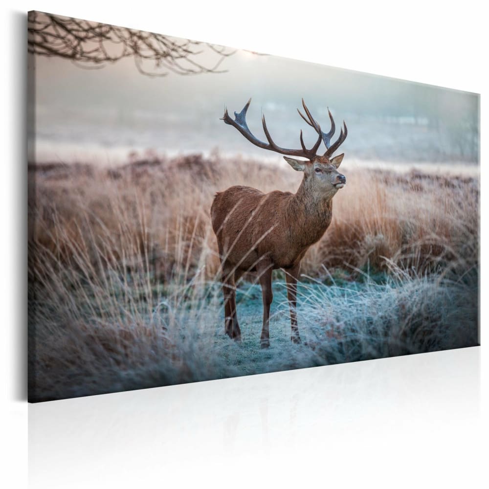 Tableau animal sauvage 120 x 80 cm