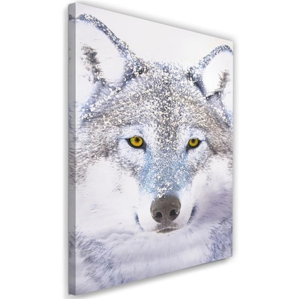 Tableau Loup blanc 80 x 120 cm