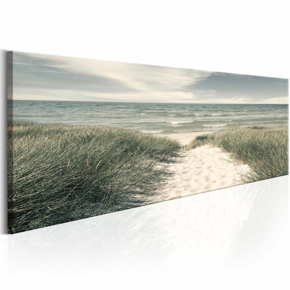 Tableau secrets de la mer 120 x 40 cm