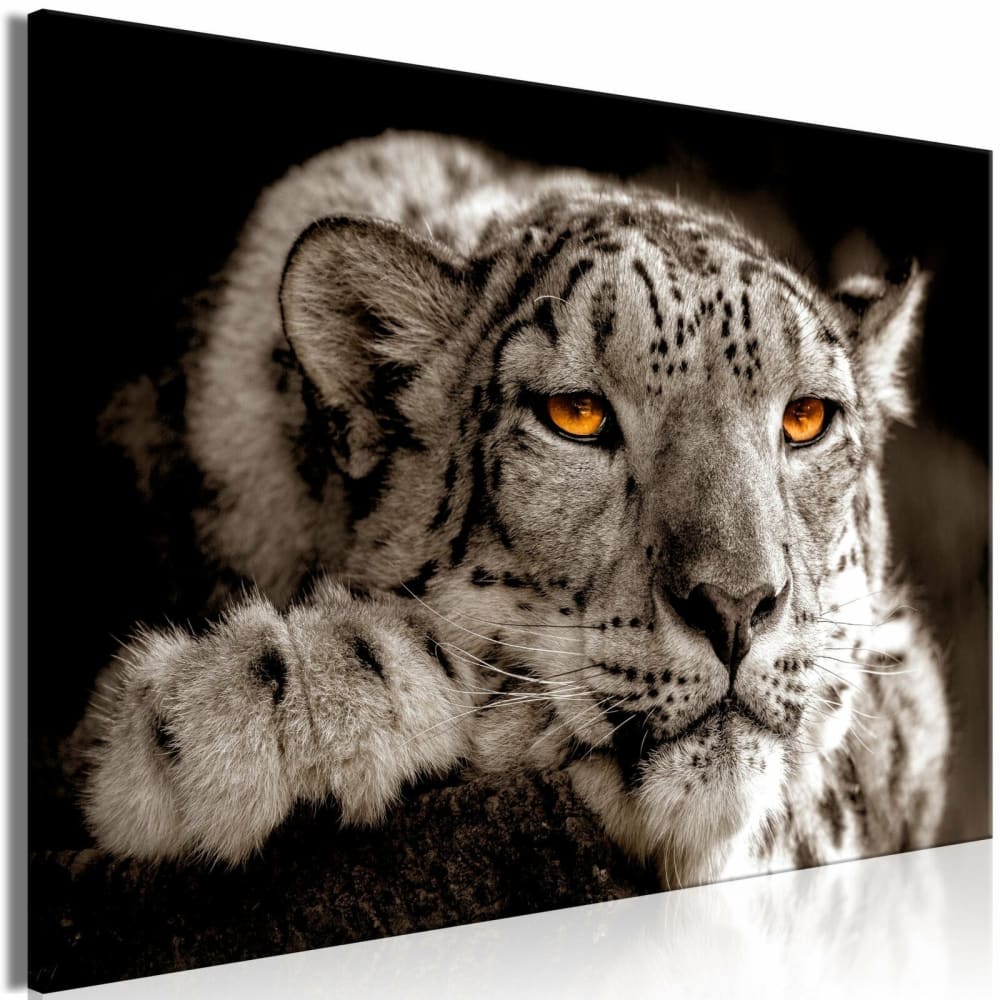 Tableau yeux magiques écarquillés 120 x 80 cm