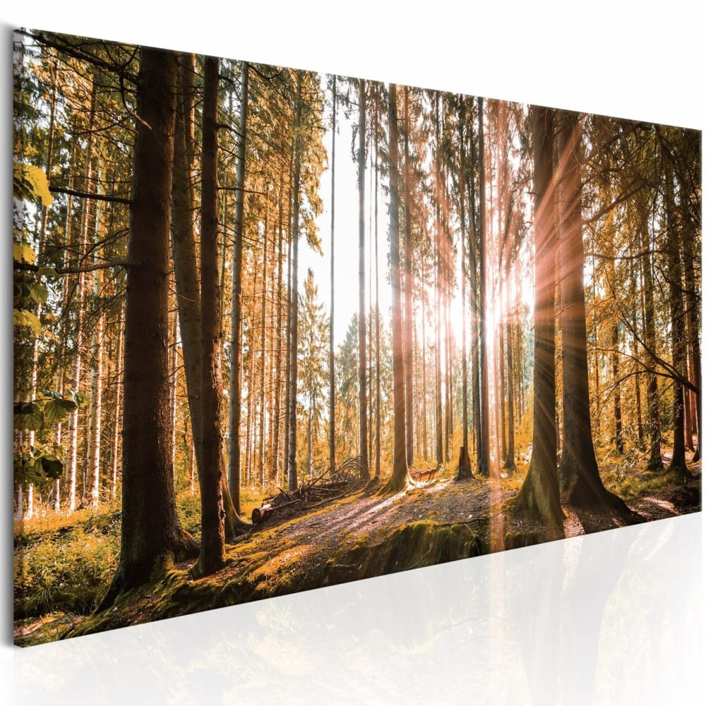 Tableau petites merveilles naturelles 120 x 40 cm