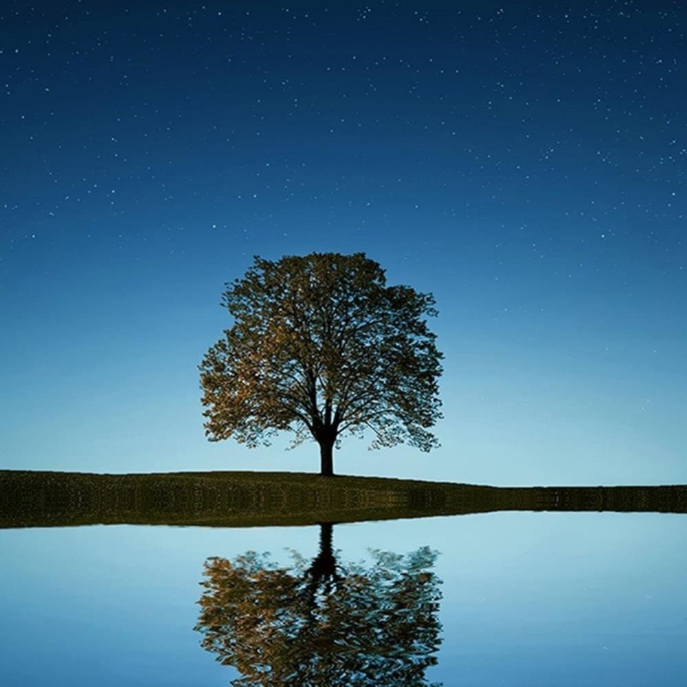 Tableau bois arbre solitaire 4 120 x 80 cm