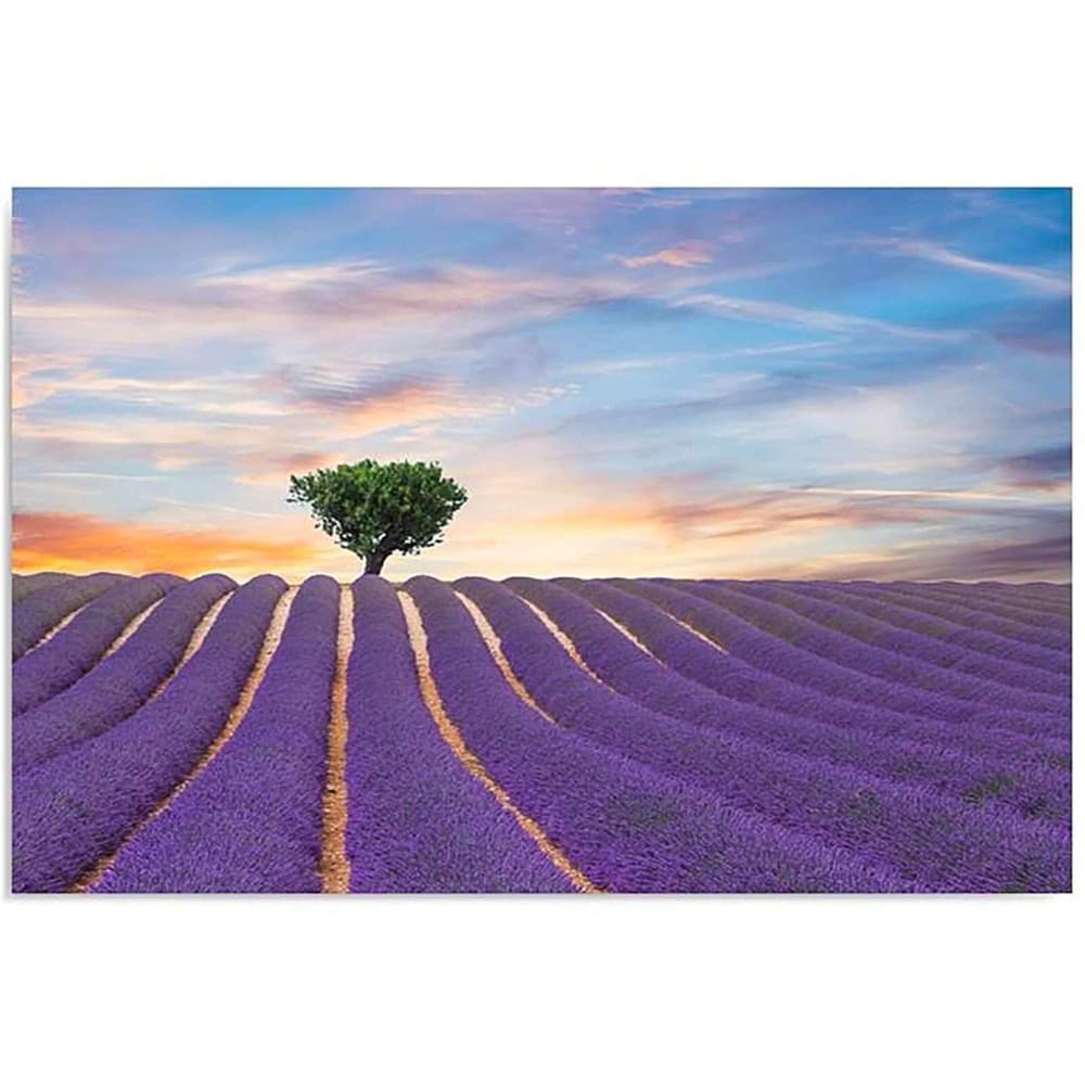 Tableau bois champ de lavande 120 x 80 cm