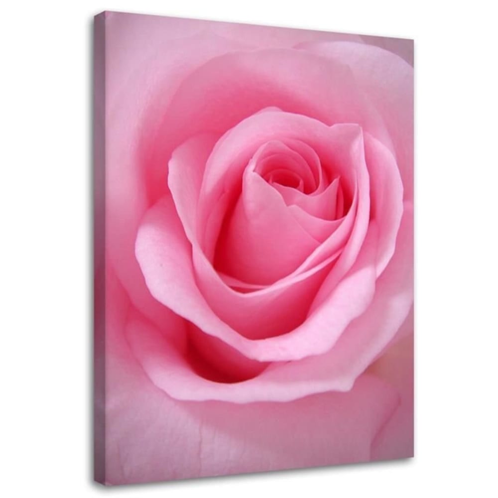 Tableau rose pastel 80 x 120 cm