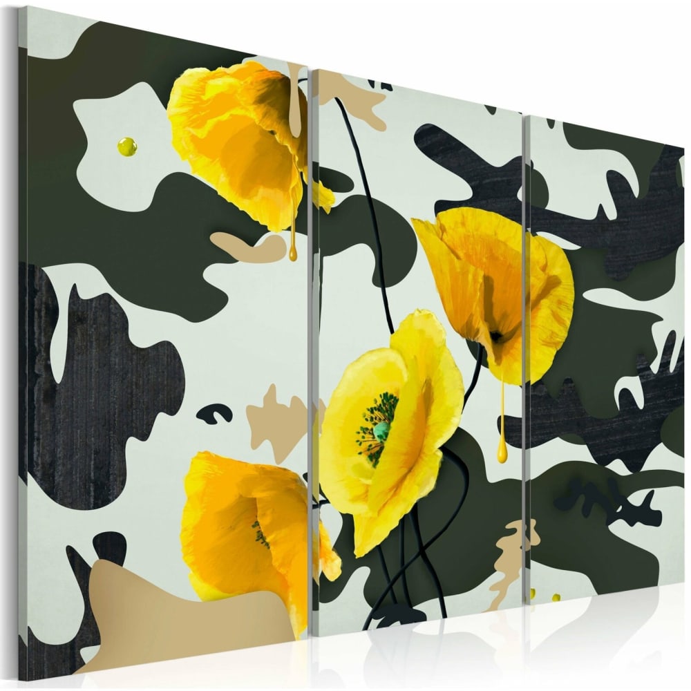 Tableau coquelicots peints