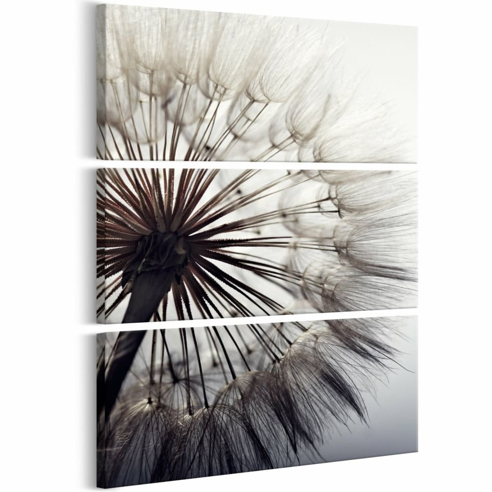 Tableau pure délicatesse je 80 x 120 cm