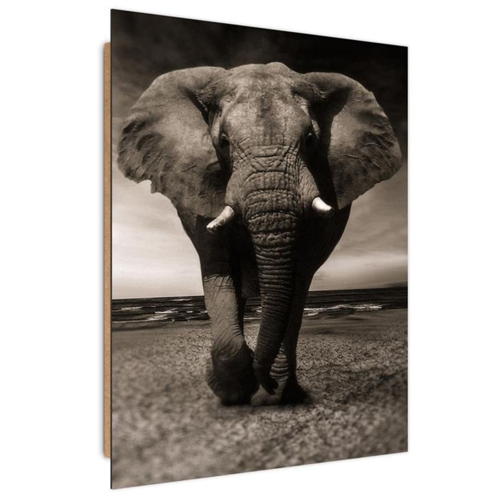 Tableau bois éléphant plage mer 80 x 120 cm