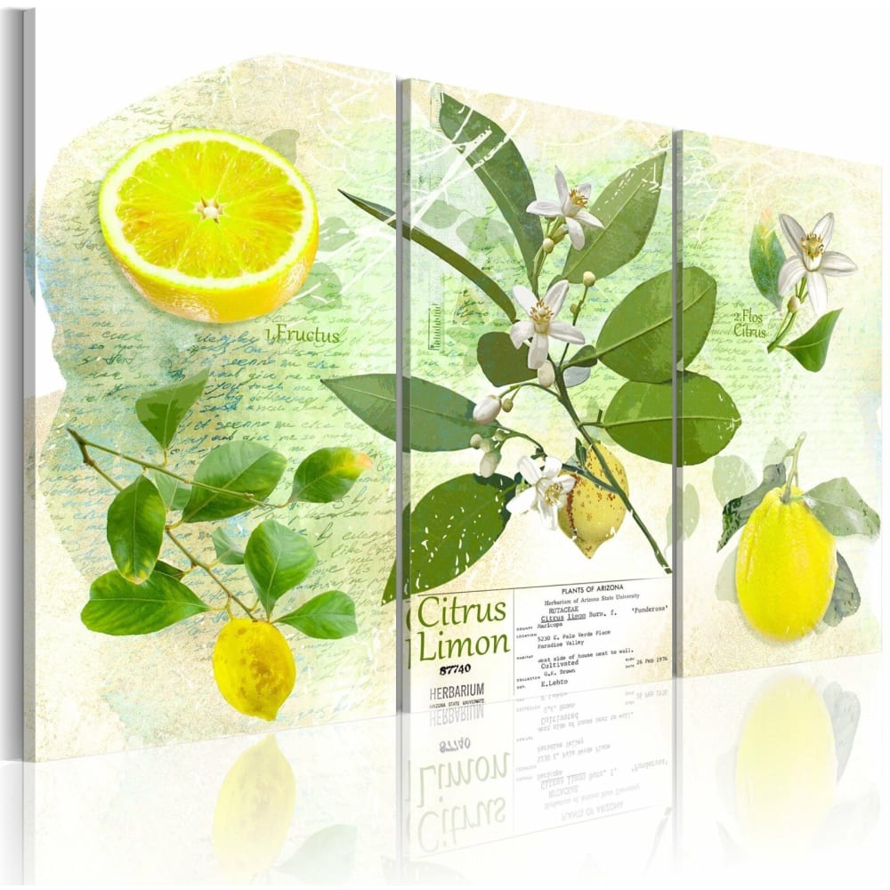Tableau fruits citron