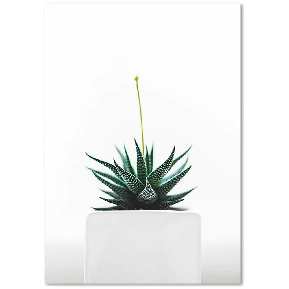Tableau plante de bois 80 x 120 cm