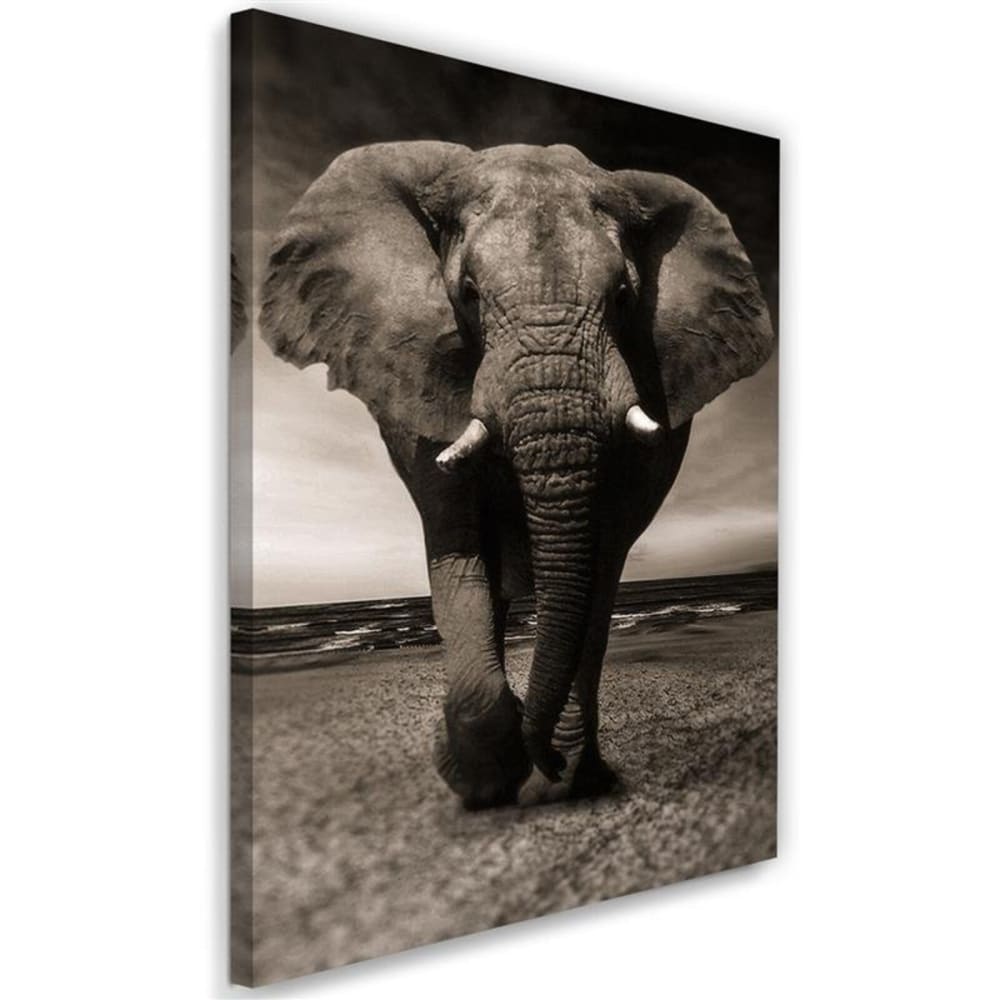 Tableau éléphant errant