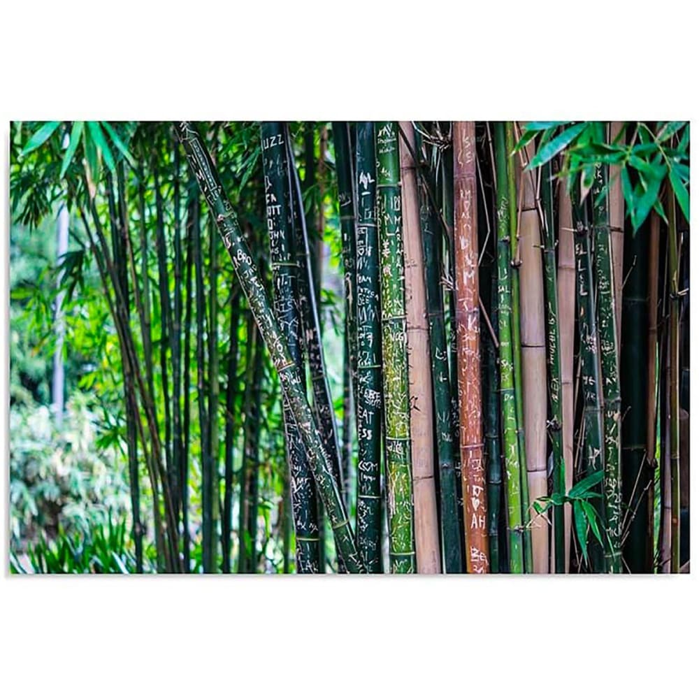 Tableau bambou 3 120