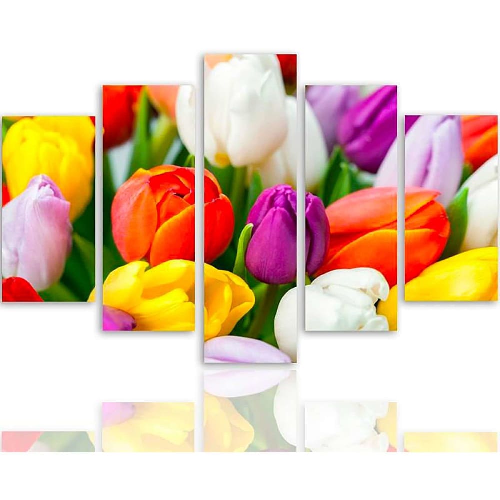 Tableau une tulipe colorée 250 x 120 cm
