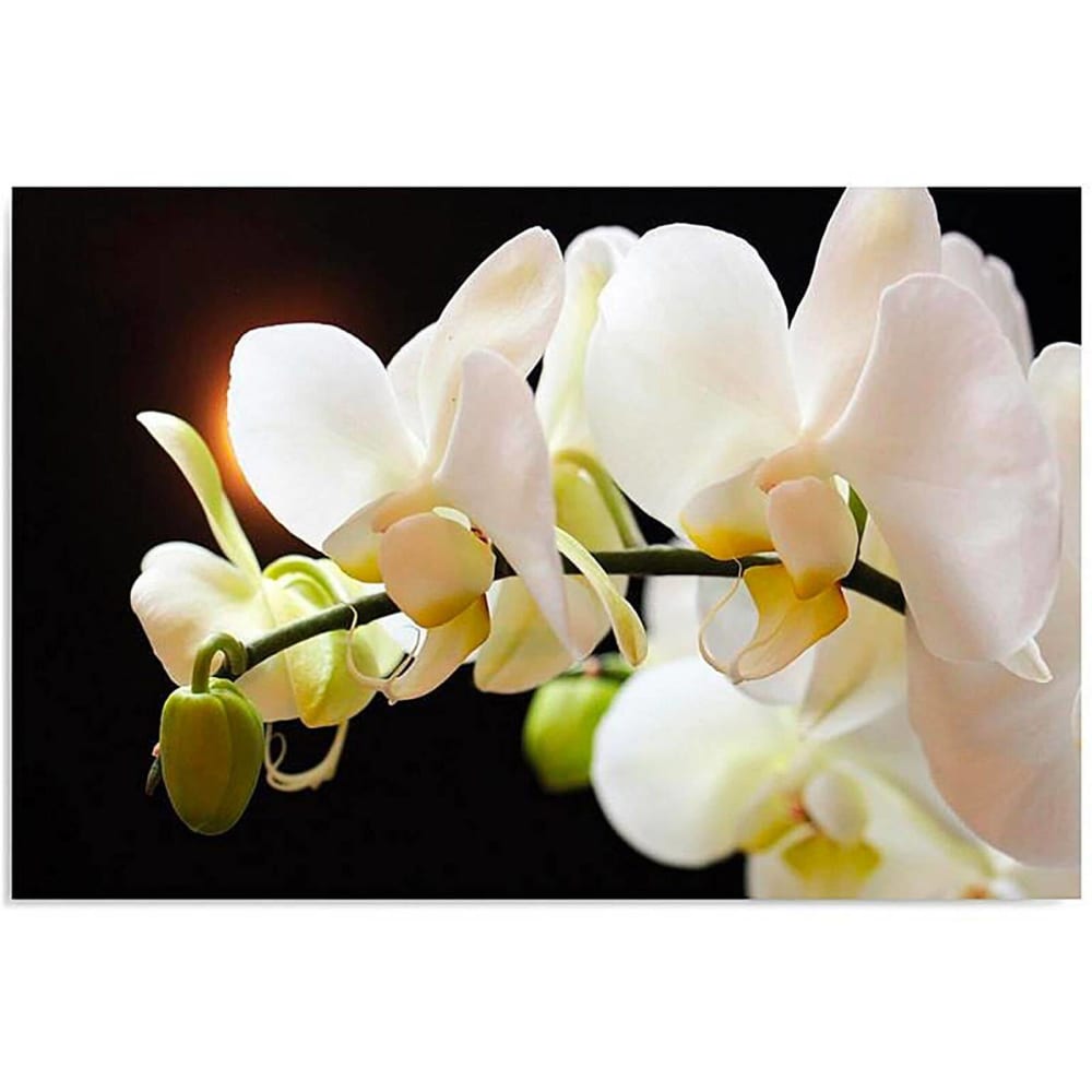 Tableau bois 12 orchidées 100 x 70 cm