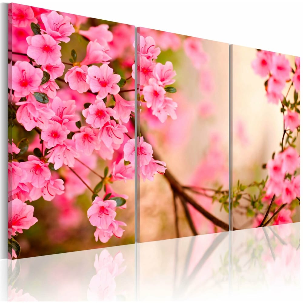 Tableau fleur de cerisier