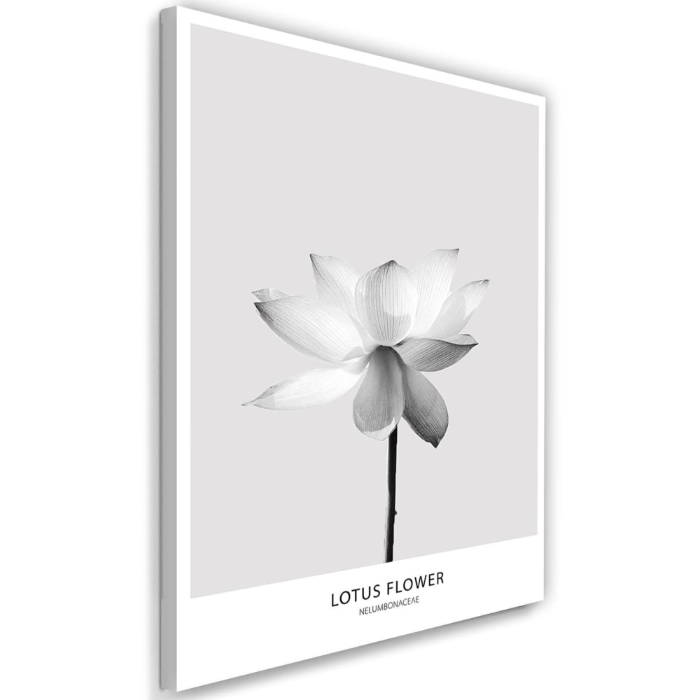 Tableau fleur de lotus blanc 80 x 120 cm