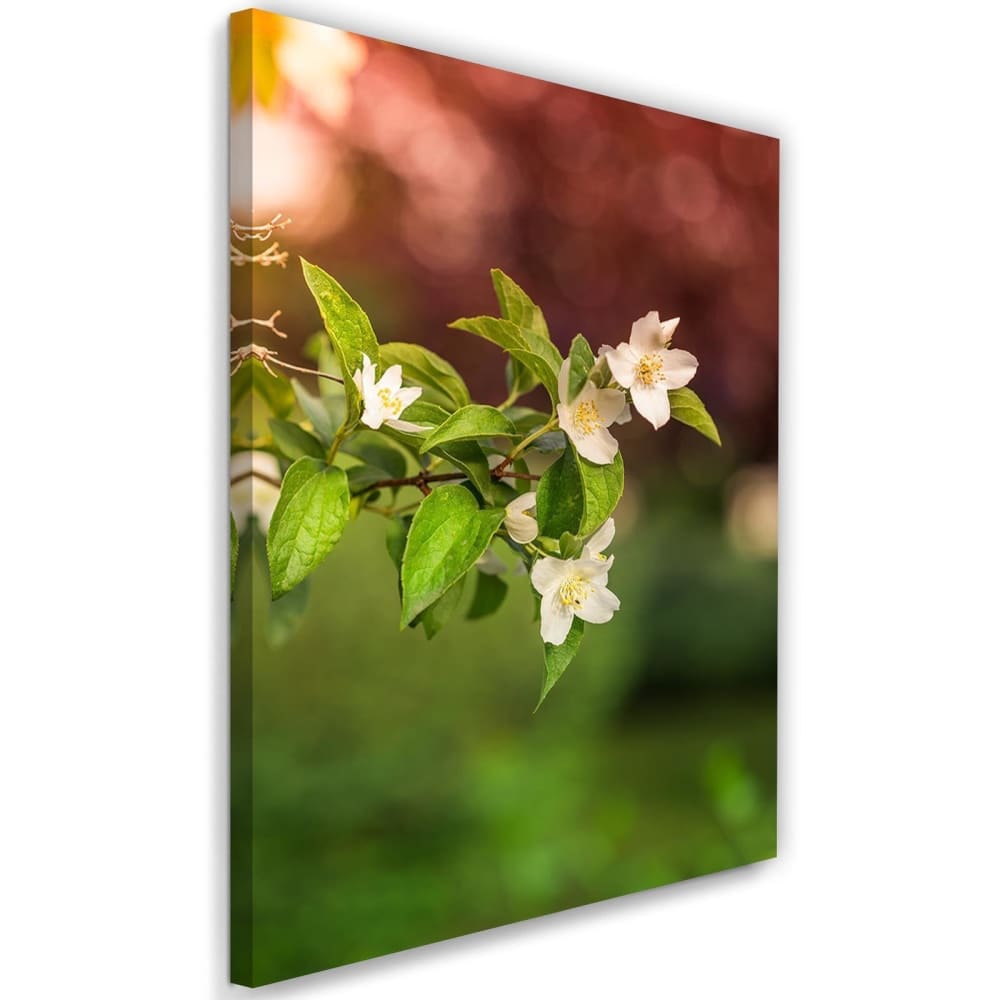 Tableau fleurs de jasmin 80 x 120 cm