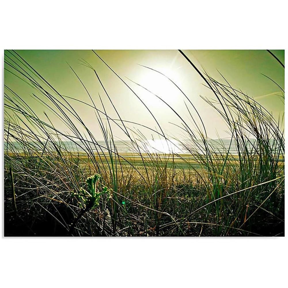 Tableau herbe côtière