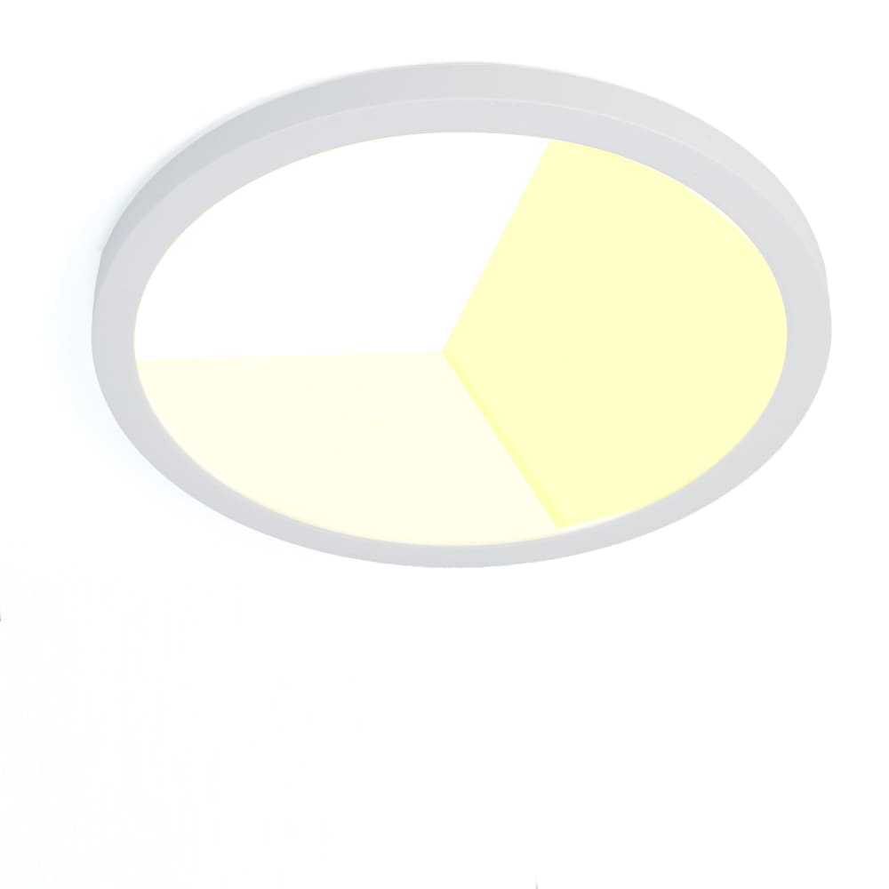 Plafonnier LED moderne plastique blanc 30 cm 24W CCT IP44