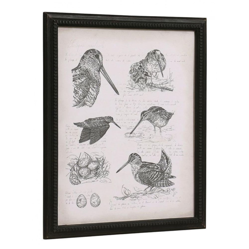 gravure bécasse en bois