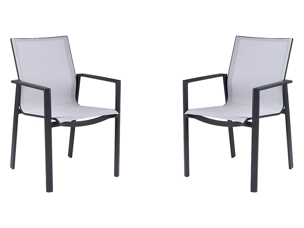 Lot 2 chaises jardin