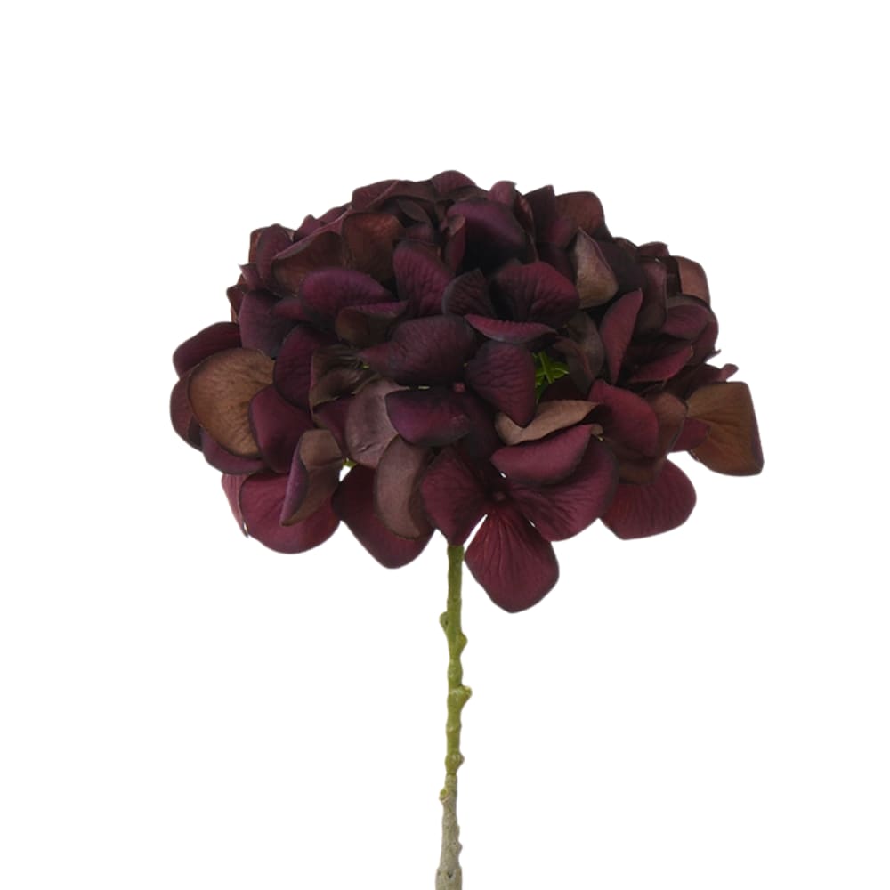 Tige d’hortensia artificielle marron h63