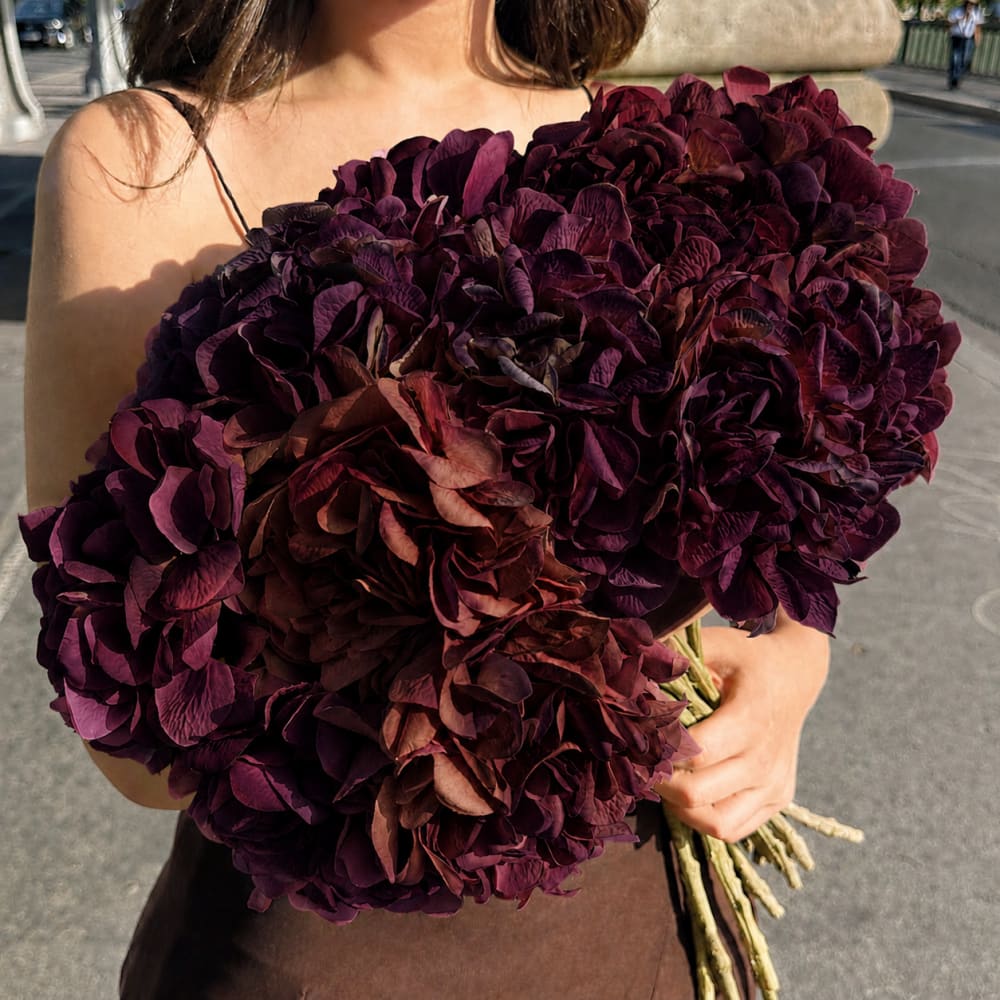 Tige d’hortensia artificielle bordeaux h63 — vue 4