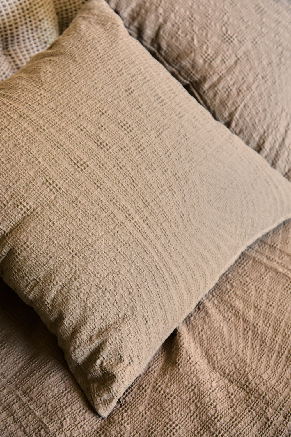 Baumwoll-Kissenbezug Braun  60x60 - Maisons Du Monde
