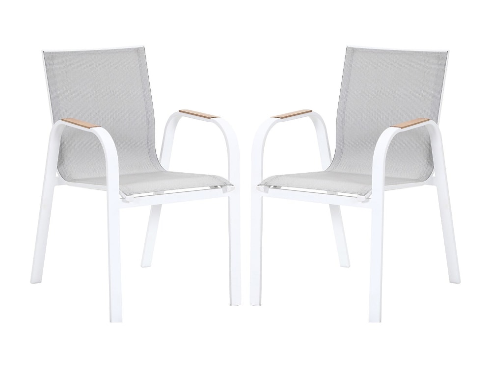 Lot 2 chaises jardin