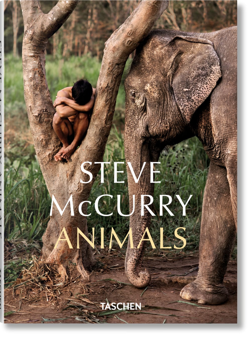Steve McCurry. Animals (anglais)
