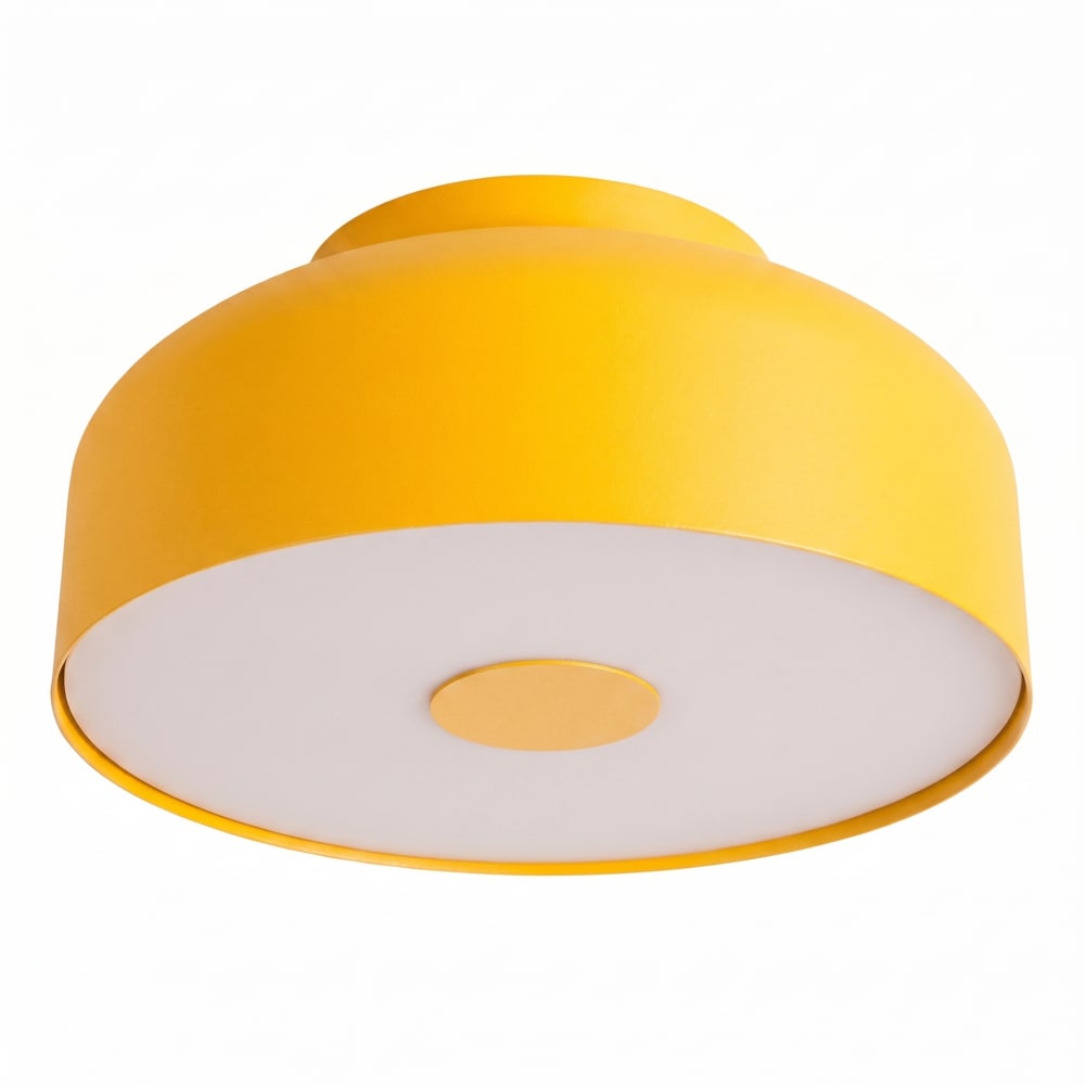 plafonniers acier/pvc