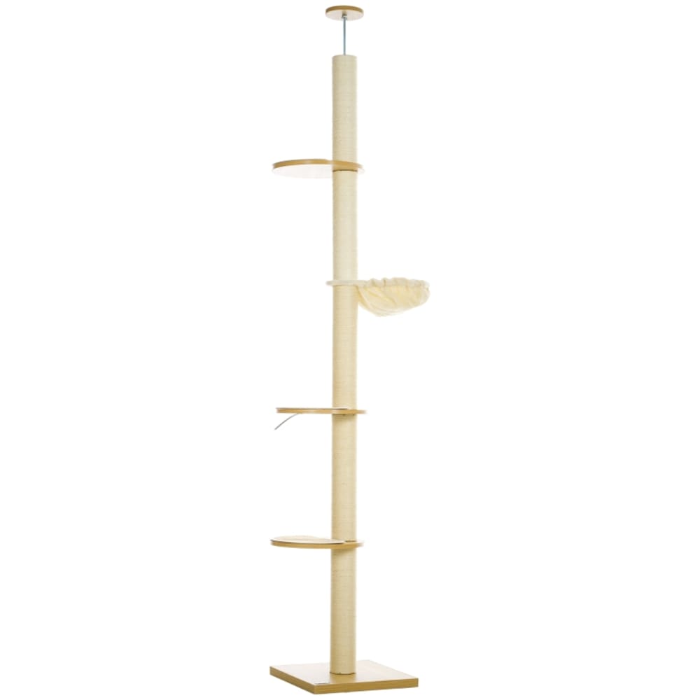 Le chat arbre et le griffoir