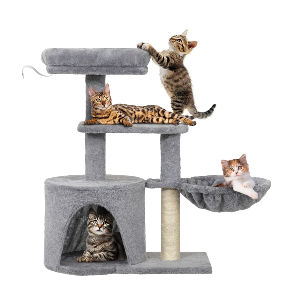 Arbre à chat griffoir multi-niveaux avec hamac et niche