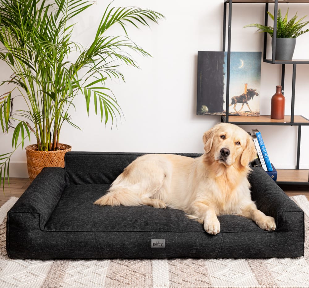 Hundebett XL wasserdicht abnehmbarer Bezug Design - Maisons Du