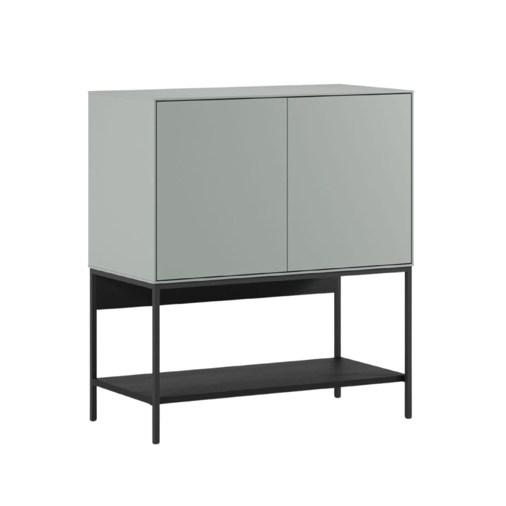 meuble d'appoint 2 portes