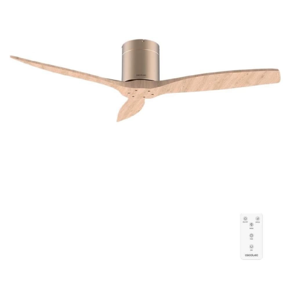 Ventilateur de plafond