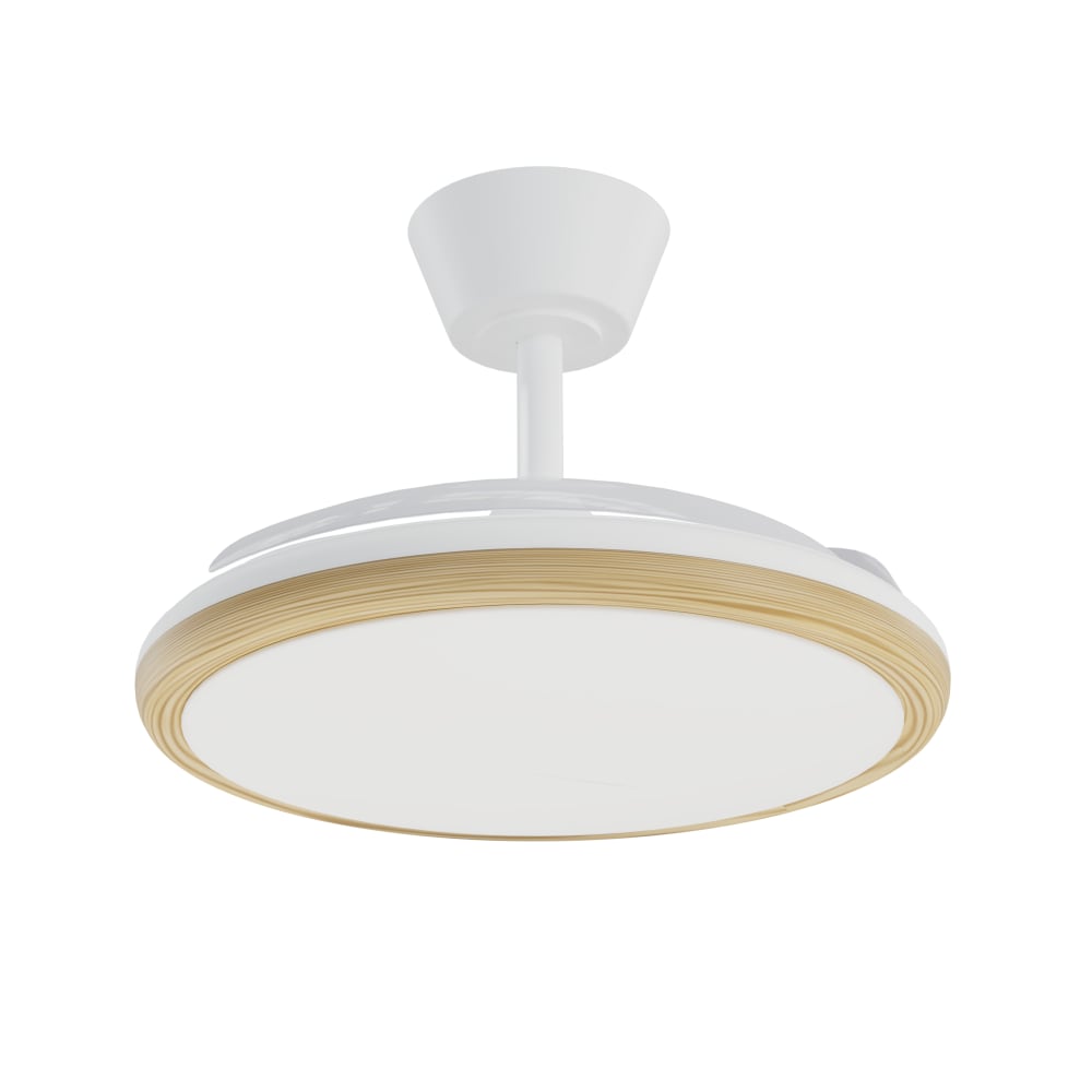Ventilateur plafond dc