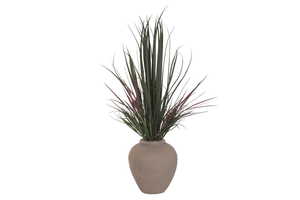 Plante verte avec pot