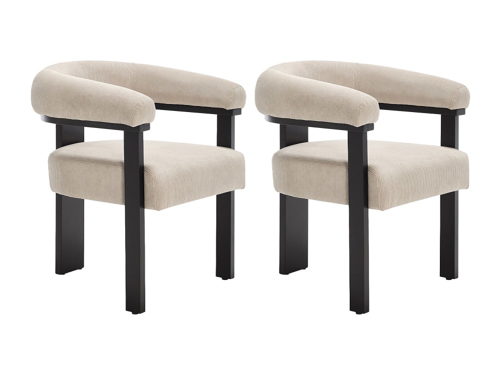 Lot de 2 chaises velours
