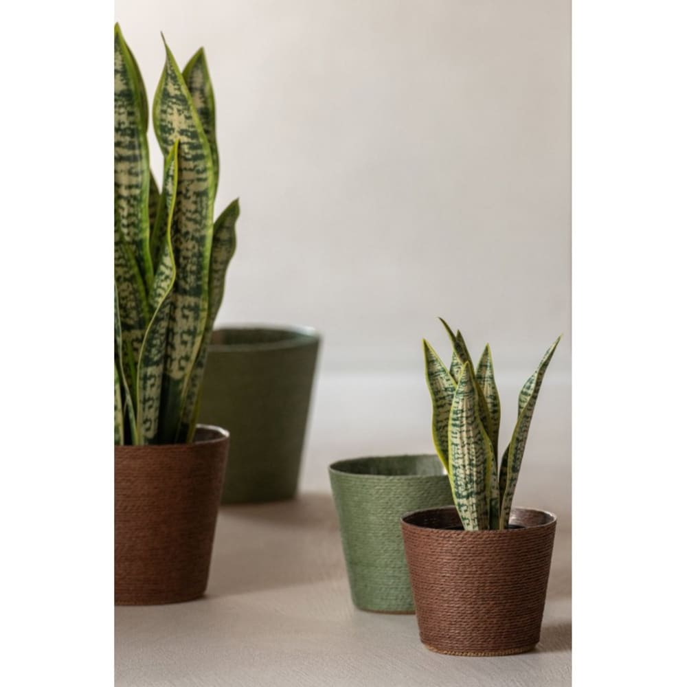 Dracaena trifasciata artificiel dans pot vert 26x26x47 cm