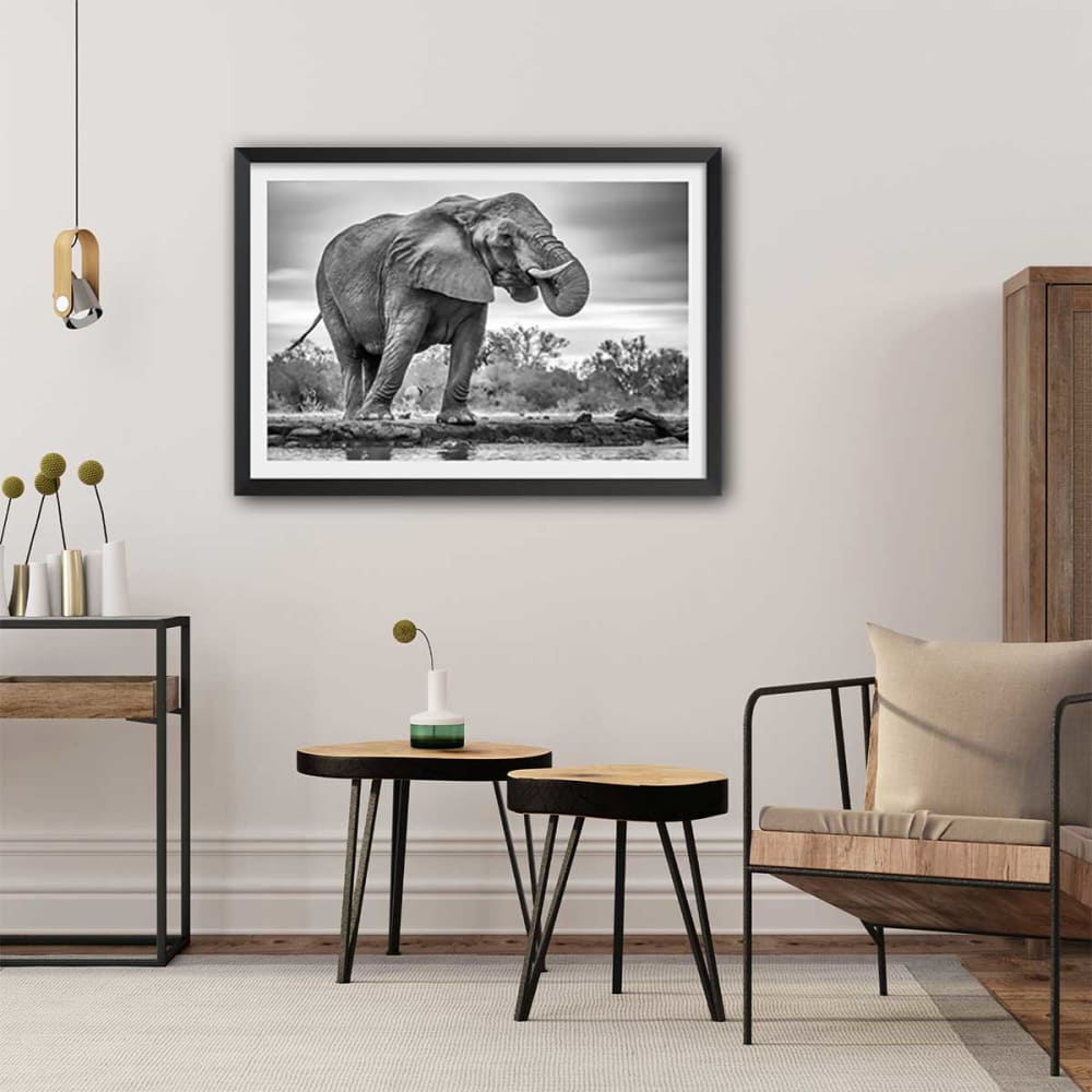 Tierposter Standing Proud 60x40cm - Maisons Du Monde