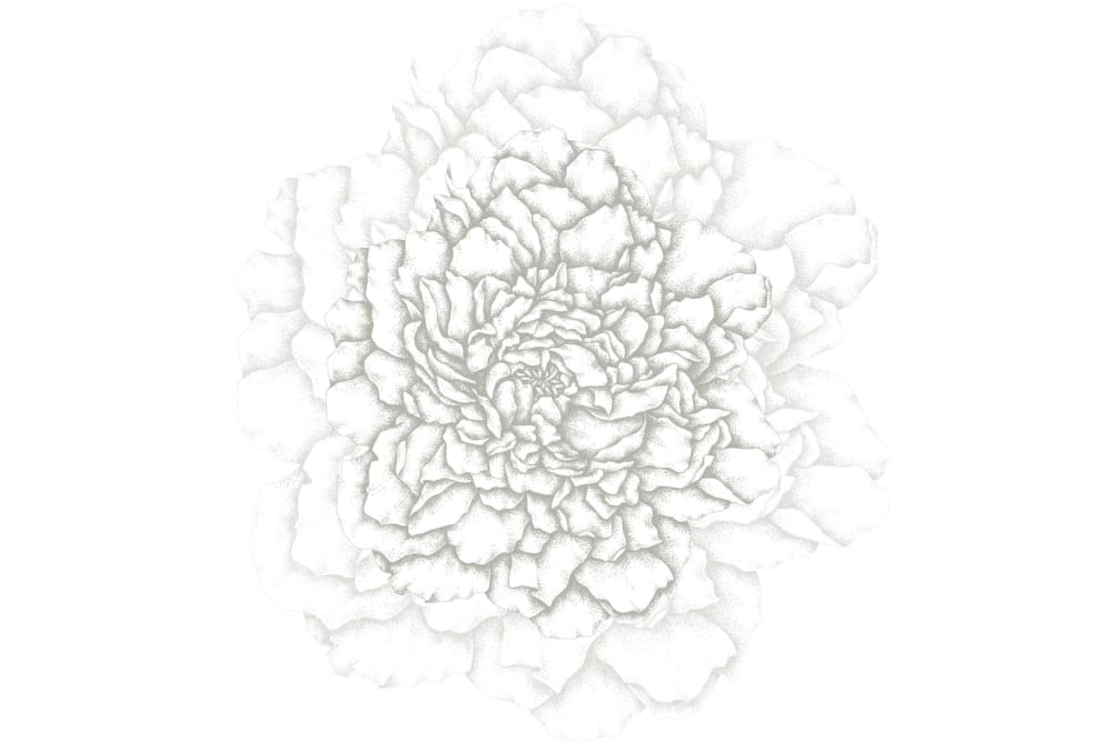 Papier peint cœur de pivoines, gris 225 x 250cm — vue 3