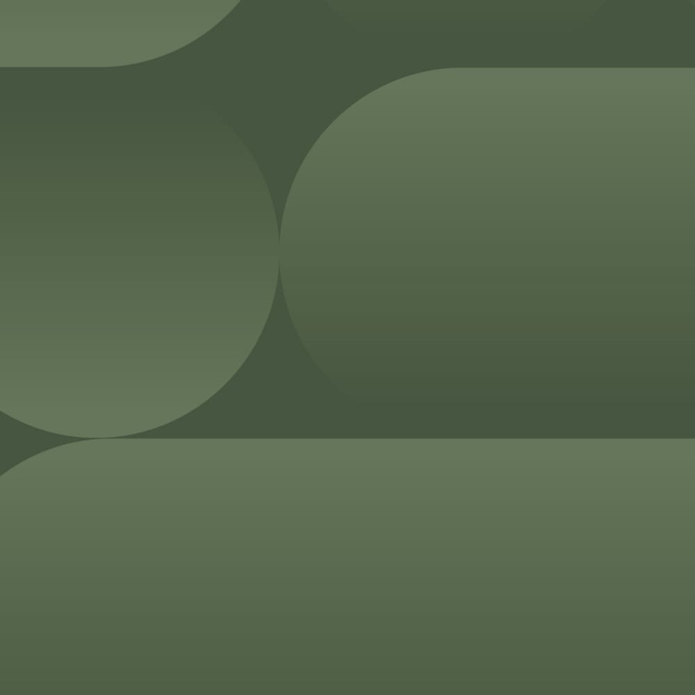 Papier peint pulse, vert 225 x 250cm — vue 4