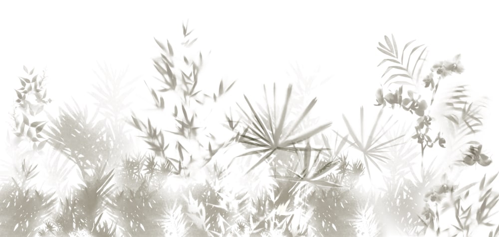 Papier peint feuilles tropicales, gris 225 x 250cm — vue 3