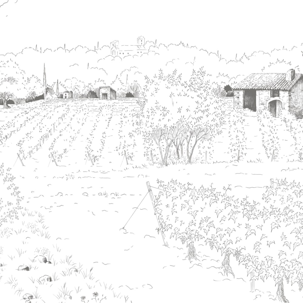 Papier peint promenade dans les vignes, gris 225 x 250cm — vue 4