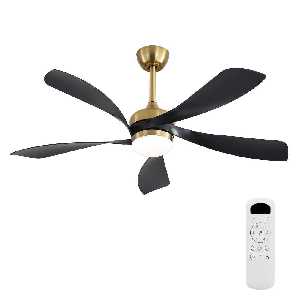 ComfortXL Leiser Deckenventilator mit Licht in Schwarz und Gold 132 cm Schwarz Pp - Polypropylen