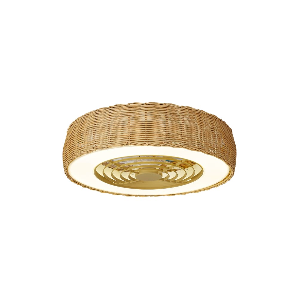 Ventilateur en plastique